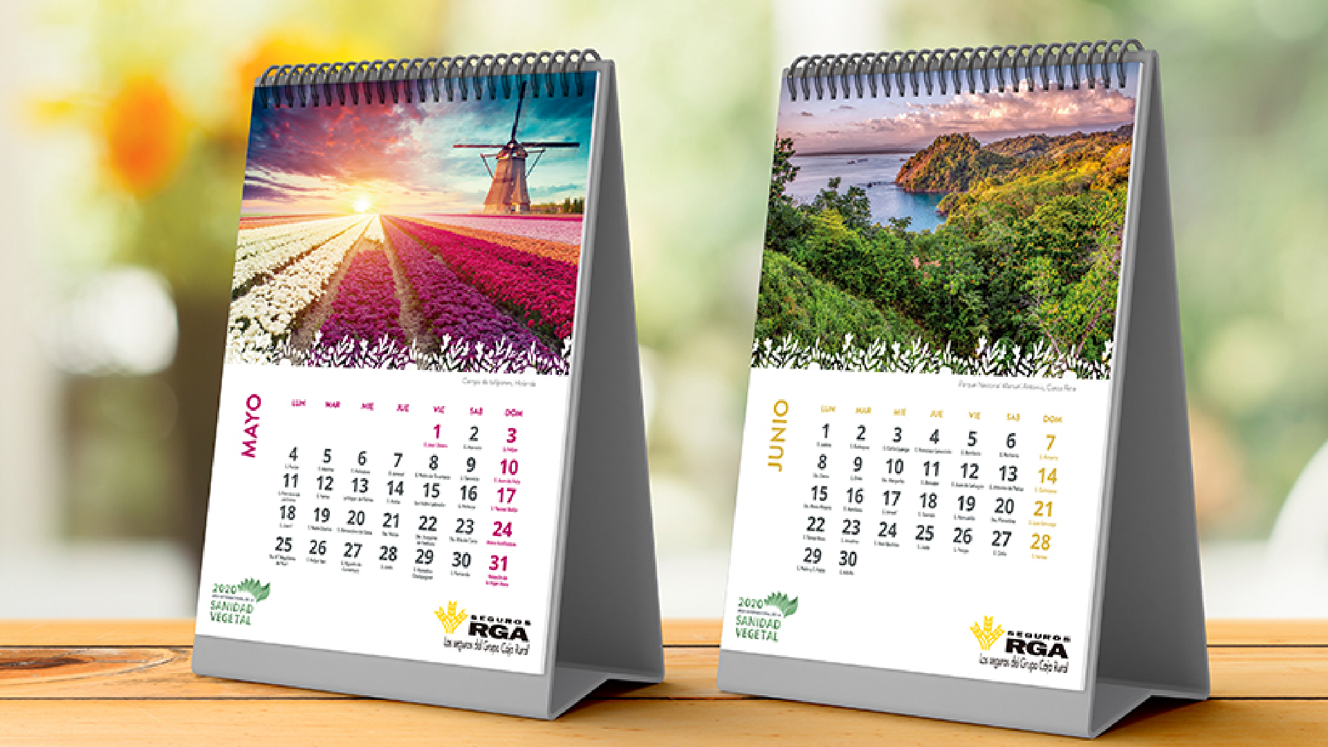calendario